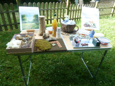 atelier du toucher et du goût